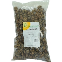 Doğan Selvi Kozalağı Doğal 1000 G Paket