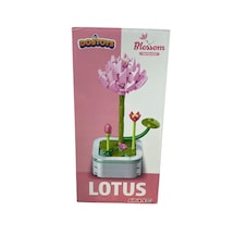 Saksılı Çiçek Lotus 6337