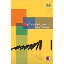 İş Kontrol Noktalarında Stresin Önlenmesi- Efil Yayınevi Yayınları
