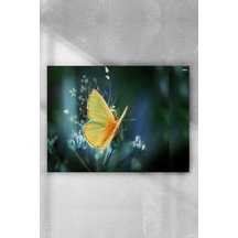 Kelebek Sanatsal Poster