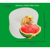 Bukelamun Kül Tablası Silikon Kalıp S834