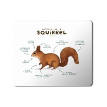 Sincap Anatomisi Squirrel Anatomy Baskılı Mousepad Mouse Pad