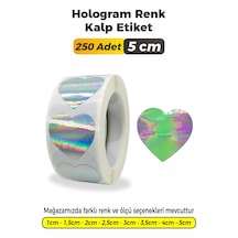 Hologram Renk Kalp Kesim Etiket 5cm 250 Adet Çok Renkli