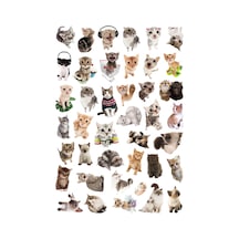 41 Adet Sevimli Kediler Sticker Seti - Etiket Seti Scrapbook Bullet Journal Çok Renkli
