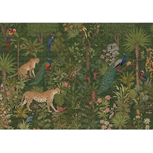 Tavus Kuşu Ve Leoparlar Ormanda İllüstrasyon Poster Duvar Kağıdı Renkli