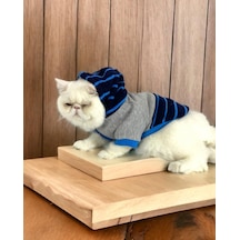 Kemique Blue Line Kapşonlu Kedi Kıyafeti Kedi Sweatshirt