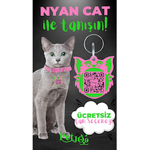 Petjoo 2.Nyan Cat Yeşil-Pembe Qr'lı Kedi Künyesi