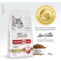 Kolajen Destekli Hipoalerjenik Kuzulu Yetişkin Kedi Maması 2kg