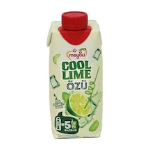 Meysu Cool Lime Özü 12 x 330 ML