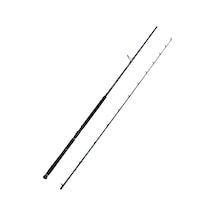 Defiance Sg2 Shore Jig 2.90m 20-80gr 2 Parça Olta Kamışı