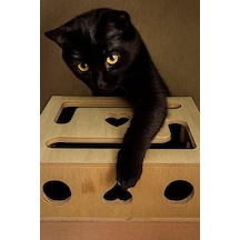 Kedi Tırnak Törpüsü Ve Oyun Kutusu L Model - Doğal Ağaç, Ev Kedileri İçin