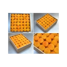 Kayısı Malatya Yeni Mahsül 1 Kg Diğer