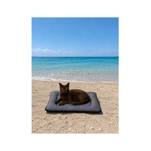 Kedi Ve Köpek Yer Minderi Outdoor Su Geçirmez Üst Kalite Tüy Ve Leke Tutmaz Boncuk Elyaf Kaydırmaz Taban Kedi Ve Köpek Yatağı Gri - 885355711