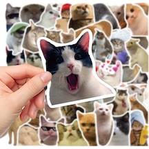 Çılgın Cats Sticker Seti Laptop Ajanda Notebook Tablet Telefon Defter Etiket Bullet Journal Diğer