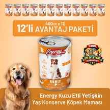 Energy Kuzu Etli Yetişkin Yaş Köpek Maması 400 G - 12 Adet