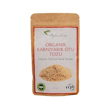 Ayhan Ercan Organik Psyllium Husk Karnıyarık Otu Tozu 100 G
