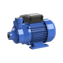 Sumak Sm15 Sürtme Fanlı Preferikal Su Pompası Monofaze 1,5 Hp