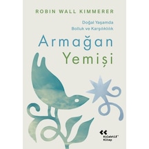 Armağan Yemişi - Aıaı-884125