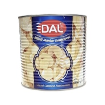 Dal Mantar Konserve Dilimli 2650 Gr