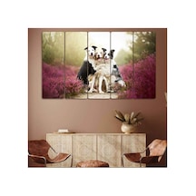 Köpekler, Border Collie Cinsleri - 5 Parçalı Tablo Görsel - 702503826 Görsel