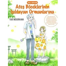 Ateş Böceklerinin Işıldayan Ormanlarına / Yuki Midorikawa