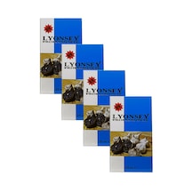 Lyonsey Professional Kara Sarımsak Yağı 4 x 20 ML