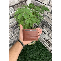 Guard Mat Taba Hakik Deri İkiye Katlamalı Kredi Kartlık - Grd260418wt1046 Diğer