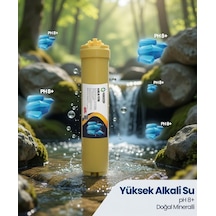 Alkali Filtre Yüksek Ph