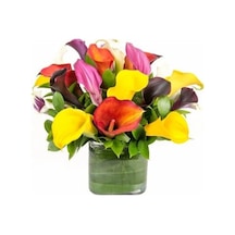 Camtohum Nadir Calla Lily Tohumu Ekim Seti 10 Tohum +Saksı+Toprak+^Hediye Camtohum Nadir Calla Lily Tohumu Ekim Seti 10 Tohum +Saksı+Toprak+^Hediye