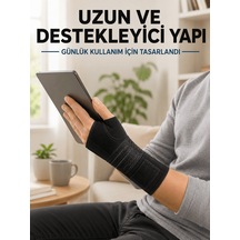 Düz Renkli