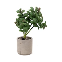 Yapay Çiçekçiniz Beton Saksıda Yapay Kaktüs Diğer