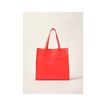 0233 Orangeblue Cat