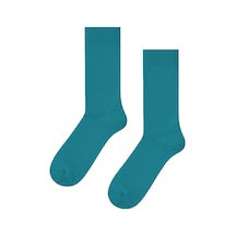 Carnaval Socks Mint Yeşili Renkli Pastel Çorap Çok Renkli