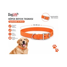 Köpek Boyun Tasması 43-49 Cm Ayarlanabilir Naylon Metal Tokalı - Turuncu Çok Renkli
