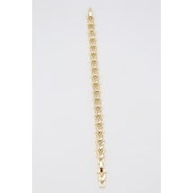 Vıp Bileklik 14 K-17300 16+2cm Çok Renkli