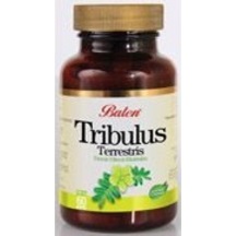 Balen Tribulus Terrestis Kapsül 620 MG60