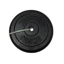 Protech 12.5 Kg Döküm Flanş