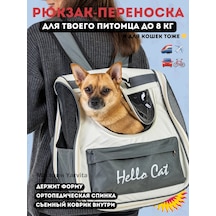 Kedi, Köpek Ve Kemirgenler İçin Sırt Çantası Çanta Taşıma 313766586