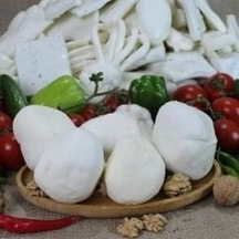 Paflar Peynircilik Urfa Peyniri 3 KG Bidon