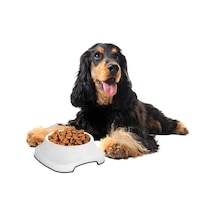 Silikon Kaydırmaz Taban Plastik Kedi Ve Köpek Mama Ve Su Kabı 2 L Beyaz
