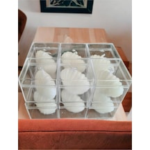 Bernami Mum Pinterest Mika Kutu Içinde Mini Istiridye Mum Seti - 12 Adet Diğer