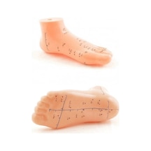 Akupunktur Eğitim Ayak Maketi Anatomik Refleksoloji Nokta Gösterim Modeli Eğitim Maketi