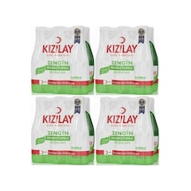 Erzincan Kızılay Sade Madensuyu 24x200 Ml