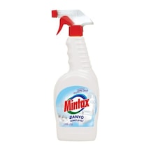 Mintax Banyo Temizleyici 1 L