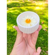 Bernami Biblo Pinterest 2'li Mini Saksı Papatya Çiceği Temalı Kokulu Mum Seti Hediyelik