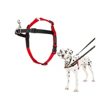 Company Of Animals Halti Köpekler İçin Önden Kontrollü Göğüs Tasması, Orta Boy