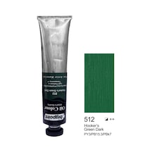 Bigpoint Yağlı Boya 200 Ml Hooker's Green Dark 512 Diğer