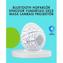 Dinozor Yumurtası Tasarımlı Gece Lambası Müzik Ve Işık Senkronizasyonlu Çok Renkli