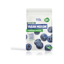 Dondurularak Kurutulmuş Yaban Mersini 18 G Freeze Dried Meyve Cipsi Çıtır Meyve Kurusu 1 Adet