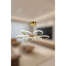 Modern Gold Papatya Tek Renk Beyaz&sarı&günşığı Led Avize Gold